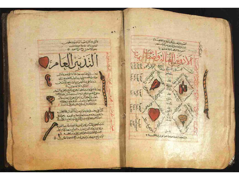 Project "Rare Manuscripts of Uzbekistan in World Collections": Expeditions to more than 20 countries