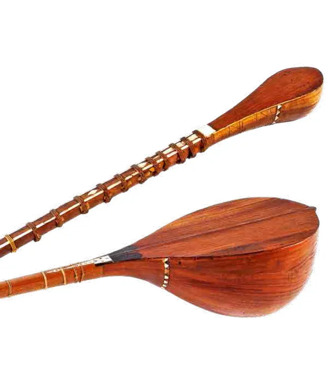 Musical instruments that came from Tashkent to the Czech Republic‌‌