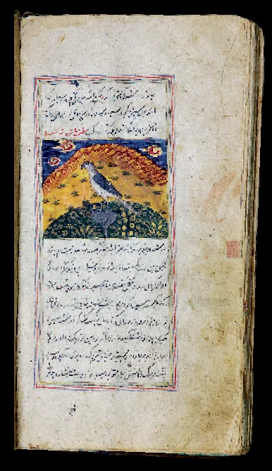 Works written in the time of a passionate falconer Jalal al-din Akbar of the Baburid Dynasty