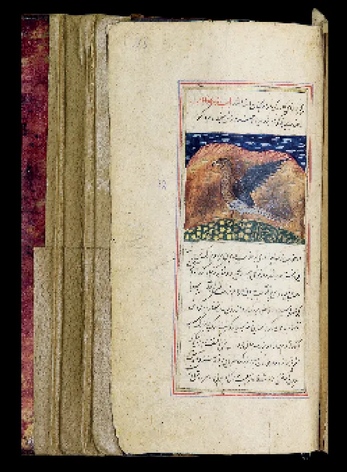 Works written in the time of a passionate falconer Jalal al-din Akbar of the Baburid Dynasty