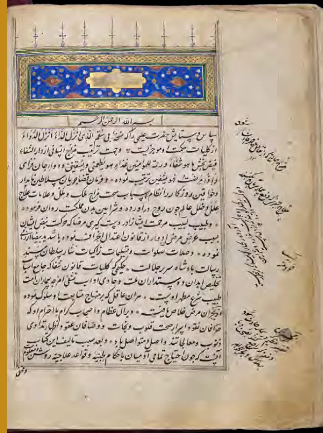 Who was the first to record the “medical patient’s history” in the history of medicine?