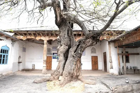 What is written on the left column of the hall of the Sufi Allayar mosque?