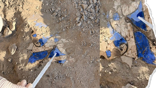 Qanqa topilmalari devoriy suratchilik maktabi Toshkentda ham bo‘lganini ko‘rsatadi