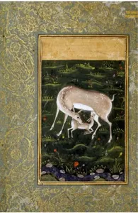 What is the message of the "Persian Gazelle" and "Indian Cow portraits"?