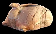 Ossuary in the form of reclining camel found in Anka-kala