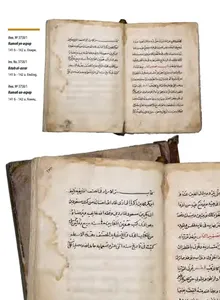 Два произведения ар-Рази, посвященные бухарскому ученику Мухаммаду ибн Юнусу