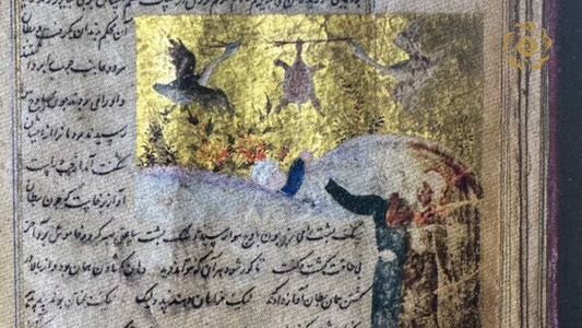 Animalistik miniatyura: Ikki o‘rdak va bir toshbaqa hikoyasi