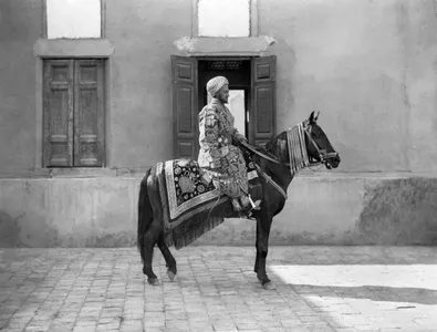 Знаете ли вы, как в коллекцию Российского этнографического музея попали предметы парадного конского убранства XIX века из Бухары?
