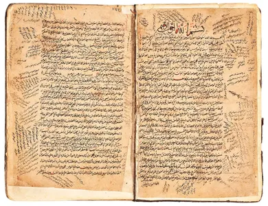 Rare albums from the Friedrich von Diez Collection