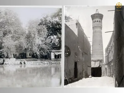 Turkiston o'lkasiga nazar