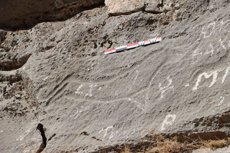 Unique rock paintings of the Nurata mountain range have been documented
