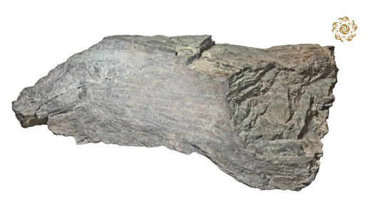 Qog'ozda emas, toshda... Amir Temurning g'alaba yozuvi