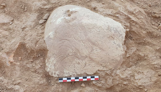 A unique ossuary was discovered at the Odirmоn site