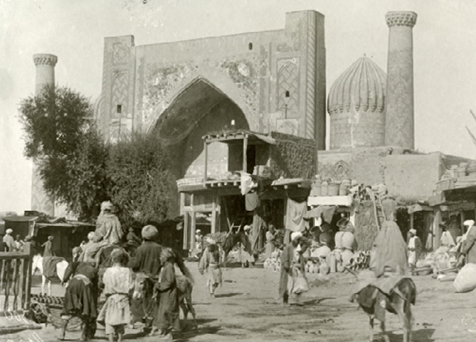 Yetuk semiz eshaklarning fotosuratlari