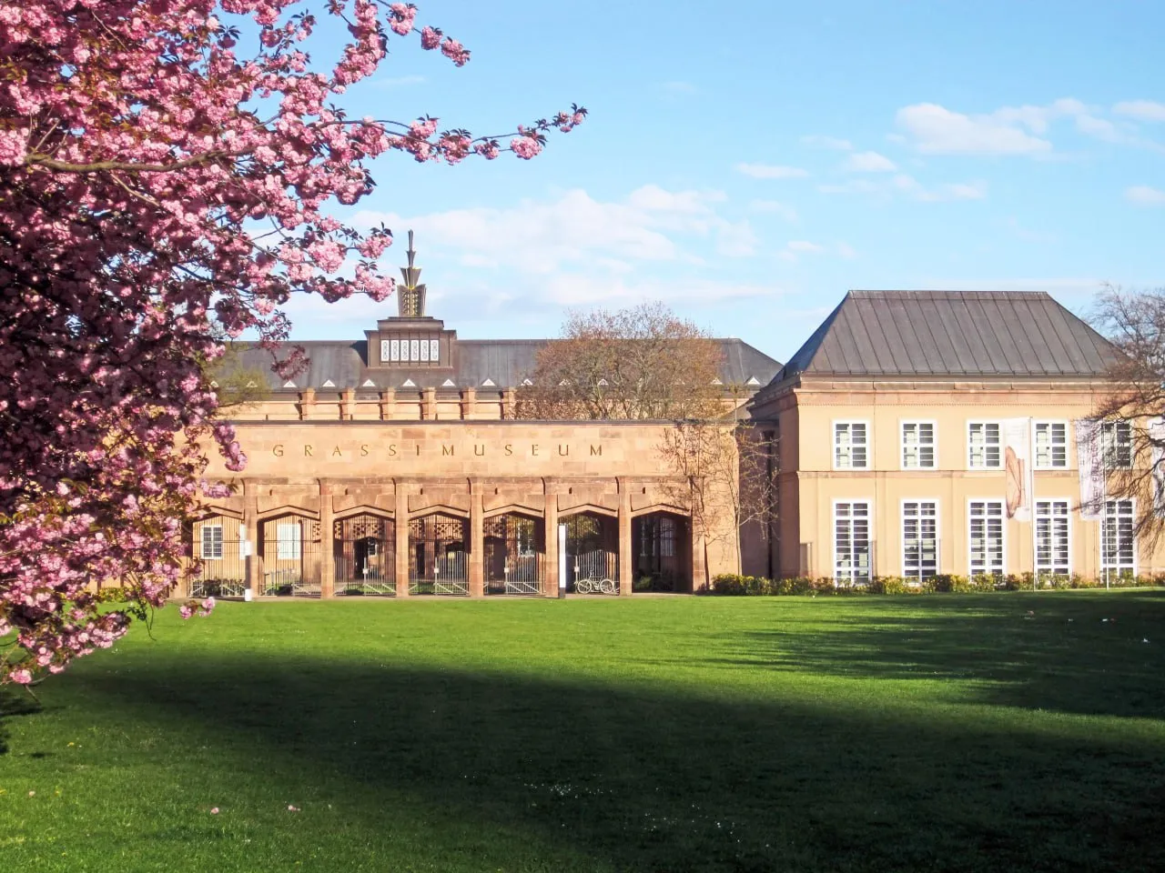 Do you know anything about the state ethnographic collections of Saxony?