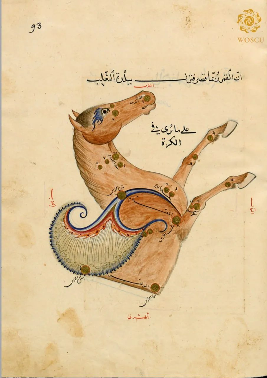 How did Ulugh Beg's "Book of the Fixed Stars" end up in Istanbul, and then in Paris?