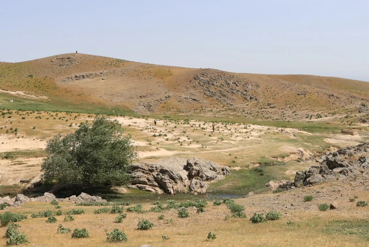 New archaeological sites of the Paleolithic and Neolithic periods have been discovered in the Jizzakh region