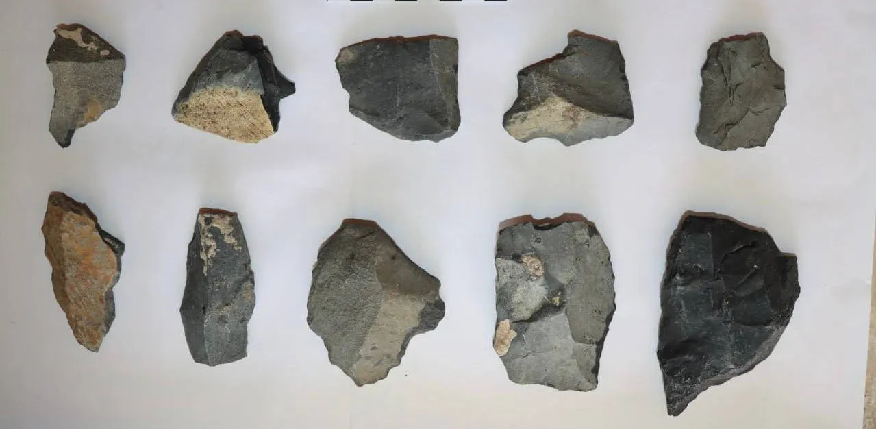 New archaeological sites of the Paleolithic and Neolithic periods have been discovered in the Jizzakh region
