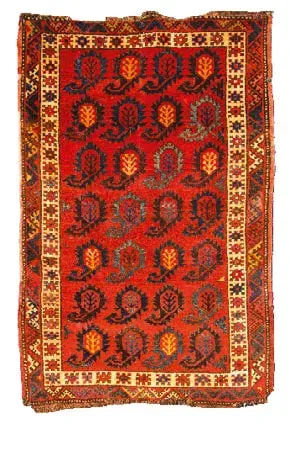 "Sharq bodringi", "turk loviyasi"... Ko'p ma'noli naqsh