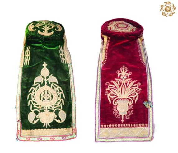 Ayolning keng mushukining fotosurati